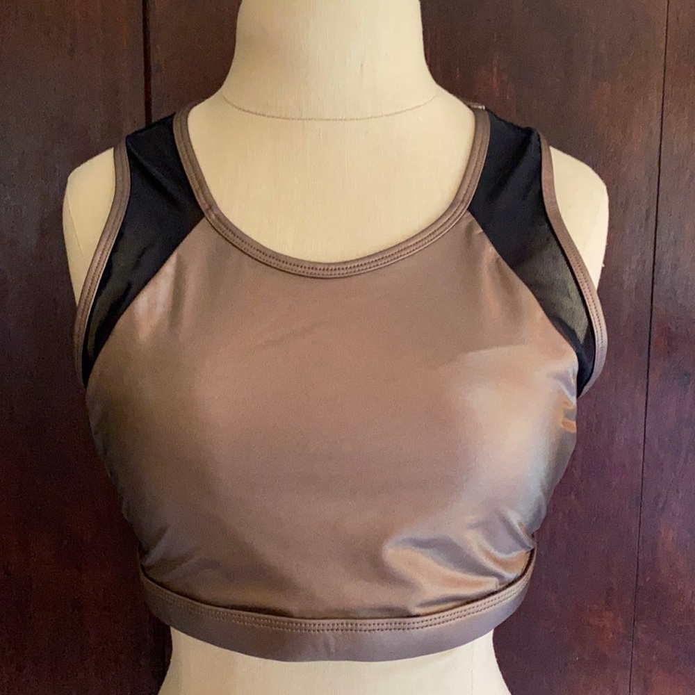 Fabletics metallic sports bra
